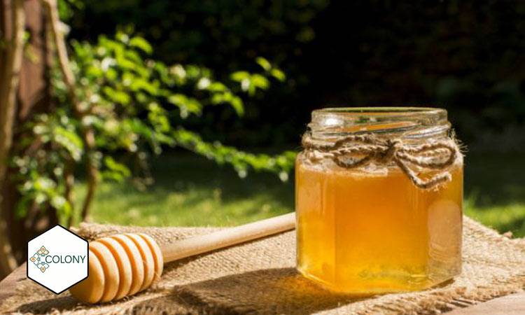 آیا امکان تولید عسل طبیعی و ارگانیک در ایران فراهم است؟