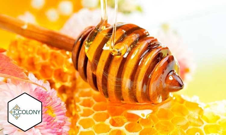 بهترین خواص درمانی عسل