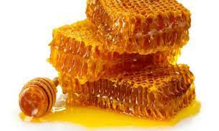 تقویت سیستم ایمنی بدن با کمک عسل