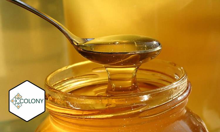 تاثیرات عسل گون بر آلرژی و ضد التهاب
