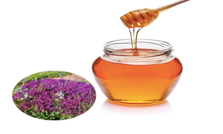 آیا عسل گون برای بهبود بیماری های گوارشی و کلیوی مناسب است؟